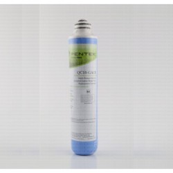 Pentair-Pentek QC10-GACR Filter Cartridge