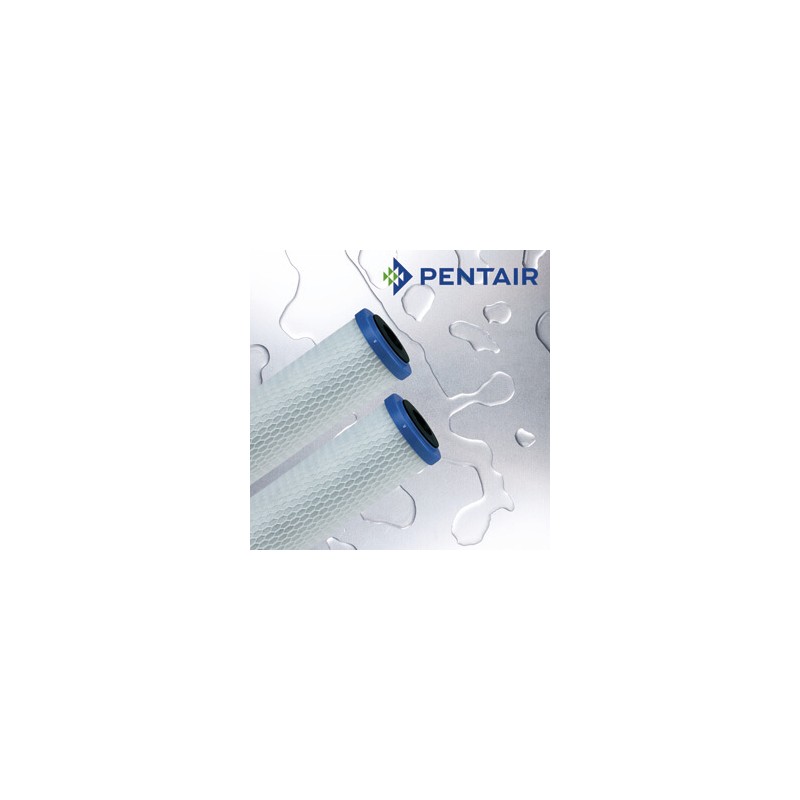 Pentair EP-10 Carbon Block Filter Cartridge